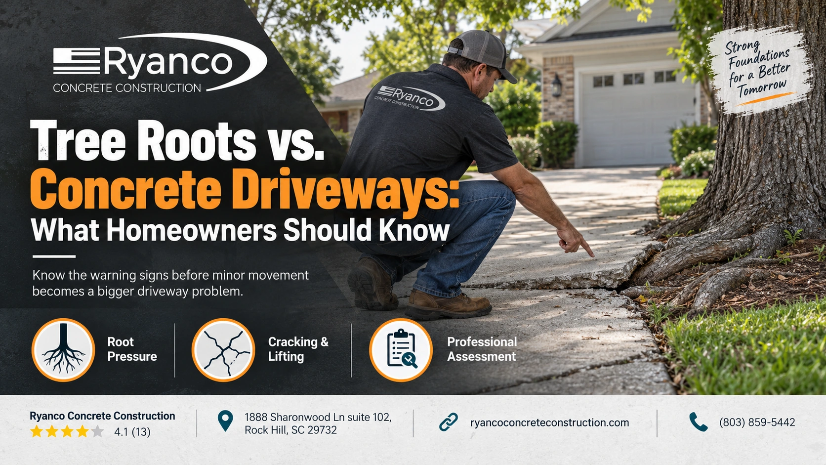 Tree Roots vs. Concrete Driveways: What Homeowners Should Know