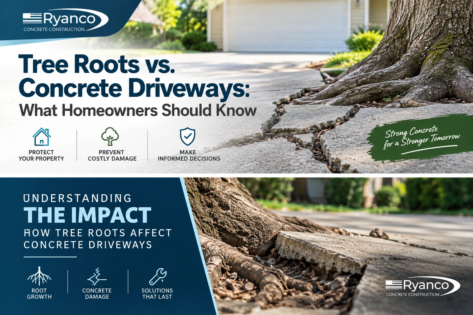 Tree Roots vs. Concrete Driveways: What Homeowners Should Know
